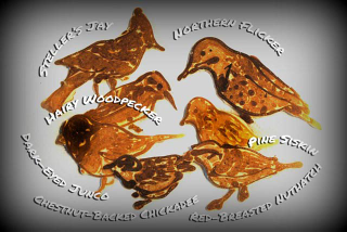 Illustration for article titled Animals in Unbelievable Detail Drawn Entirely in Pancake Batter